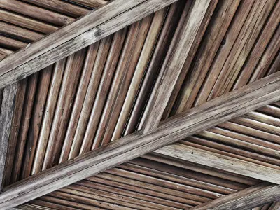 Ceiling diagonal branch straight n2 3D model