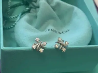 Tiffany earrings 3D print model purchase