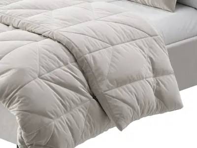 Light Wood Upholstered Panel Modern Bed 3D model