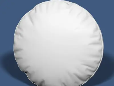 Pillow 43 3D model