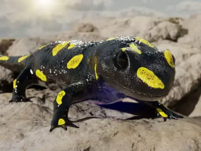 Salamander 3D model spotted Low-poly 3D model