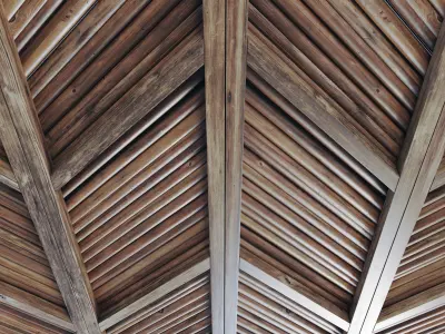 Ceiling diagonal branch straight n2 3D model