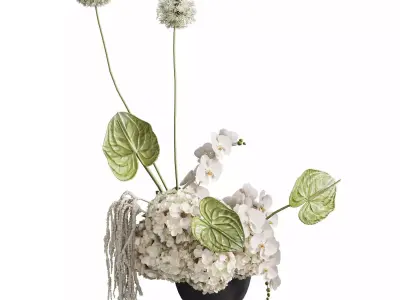 Flower In Vase Collection 07