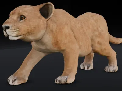 Lion Cub Animated 3D Model  Low-poly 3D model