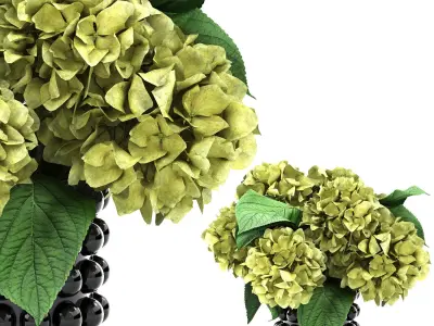 ceramic vase of hydrangea 3D model