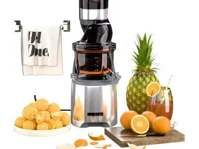 Juice bar decor Low-poly 3D model