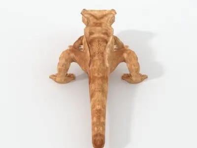 Crested Gecko Low-poly 3D model