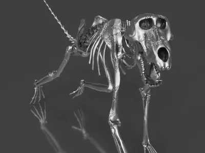 Silver Baboon Skeleton 3D model