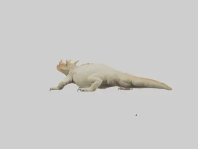 Horned Lizard basking model Low-poly 3D model