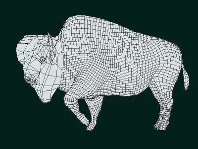 Wood Bison Mammal Low-poly 3D model