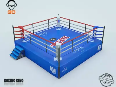 Boxing Box 3D model
