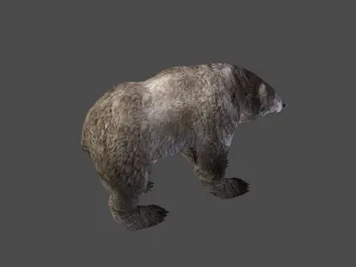 Next Gen AAA Black Grizzly Bear - game model Low-poly 3D model