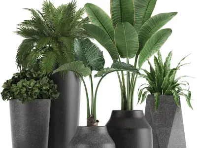 Collection of decorative plants in flowerpots 825 3D model