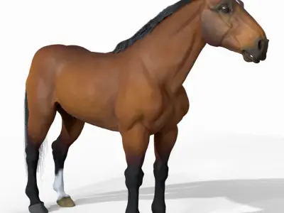 Horse 3D model