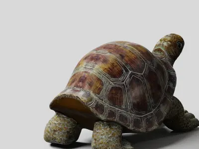 Havenside Home Turtle Sculpture Low-poly 3D model