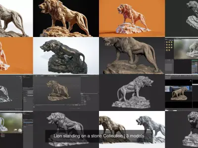 Lion standing on a stone Collection