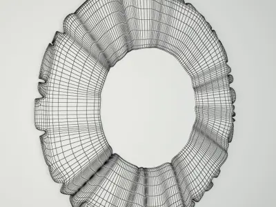 Driftwood Mirror 3D model