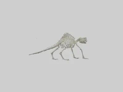 Lizard Skeleton model Low-poly 3D model