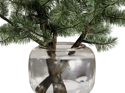 Pine branches in a Frosted glass vase - Bouquet 83  3D model