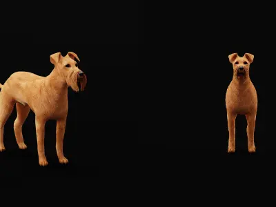 Irish Terrier Dog Low-poly 3D model