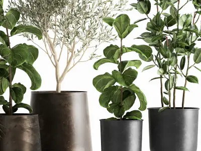 Houseplants in a flowerpot for the interior 1029 3D model