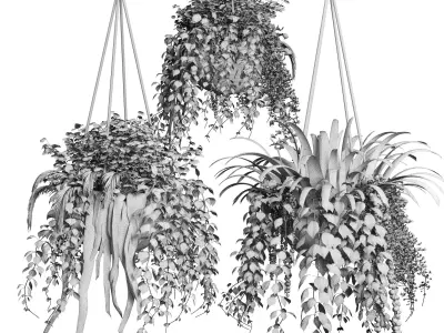 Collection plant Indoor  outdoor plants hanging pots 8 3D model
