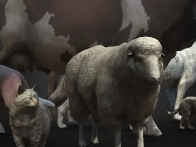 Animal Pack  Low-poly 3D model