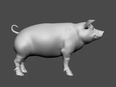  The Pig  3D model