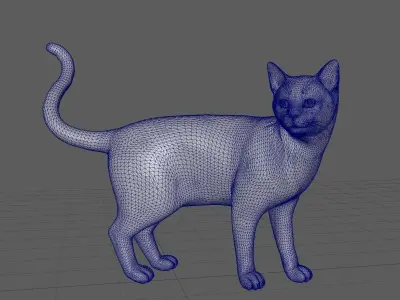 realistic cat 3D model