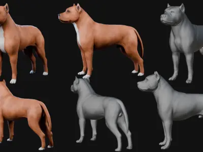 Dog Staffordshire Bull Terrier Low-poly 3D model