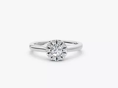 ZDR03-20CT Halo round diamond engagement ring 20ct  3D print model