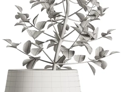 Ekua Ceramics Midnight Vase with plants 3D model