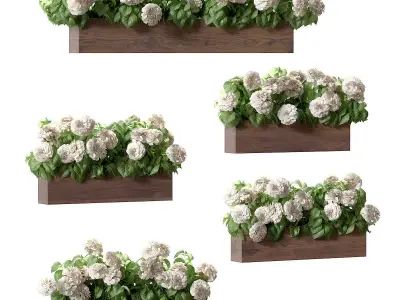 Hydrangea plant in a flowerpot for the facade - 5 models 3D model