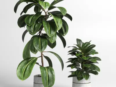 collection Indoor plant 37 -concrete vase Low-poly 3D model