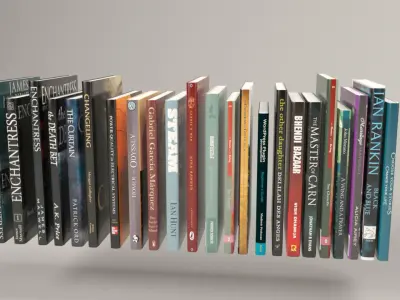 Book collection arranged 3D model