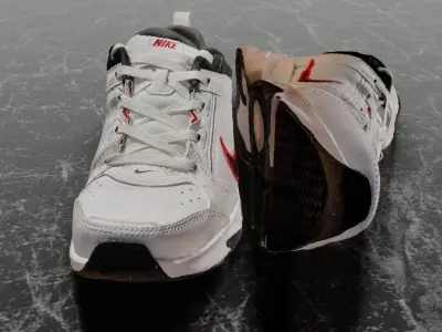 NIKE 3D SHOES Low-poly 3D model
