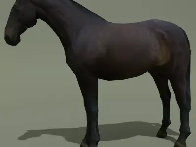 LowPoly Horse E Dark Bay Low-poly 3D model