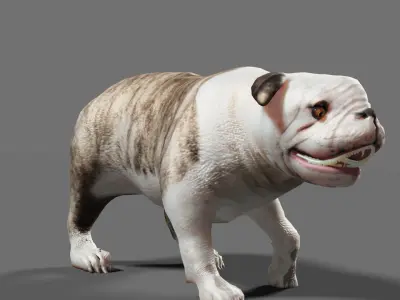 BULLDOG ANIMATED Low-poly 3D model