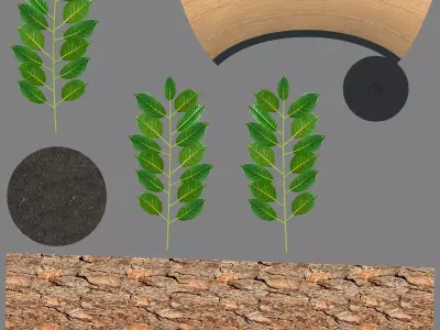 MODELOS VEGETACION  Free 3D model