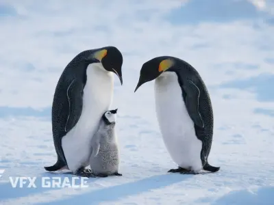 Emperor Penguin  UE Character Asset 3D model