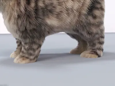 Fur Cute Cat kitten Gray No Rig Low-poly 3D model