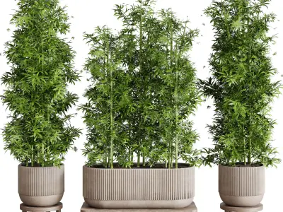 Collection indoor outdoor plant 144 plant bamboo vase concrete 3D model