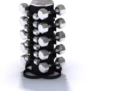 Free Weights Tower 3D model
