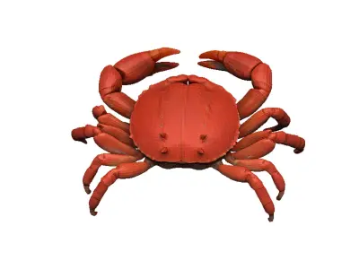 Crab - Crab Low-poly 3D model