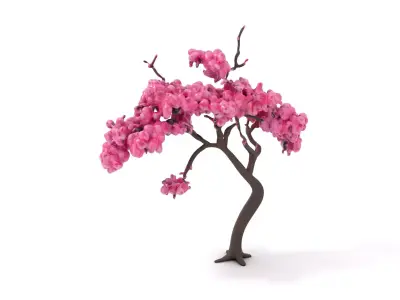 Elegant Sakura Tree model pack Low-poly 3D model