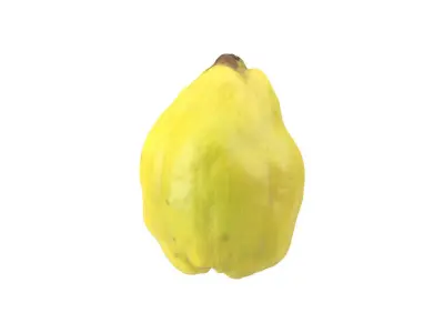 Photorealistic Quince 3D Scan 3D model
