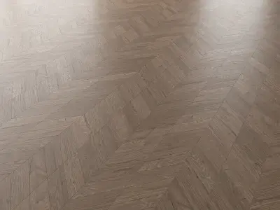 Parquet Oak Missisippi WWL set 1 3D model