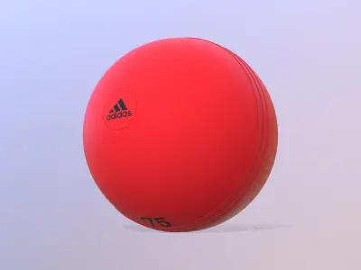 Gymball Adidas 3D model