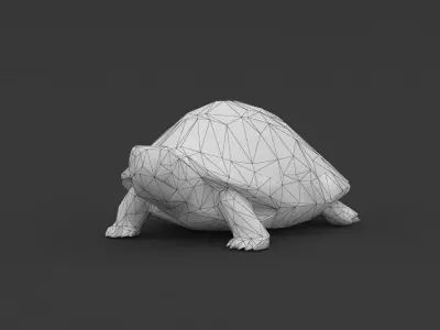 Low Poly Turtle Tortoise Low-poly 3D model
