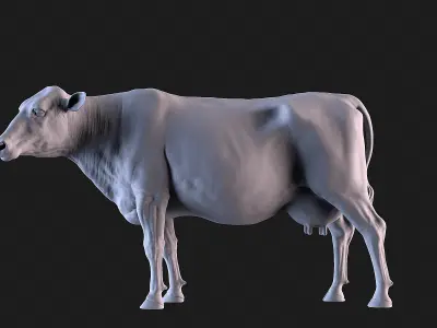 Cow and Bull 3D print model